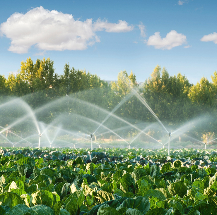 Field Irrigation