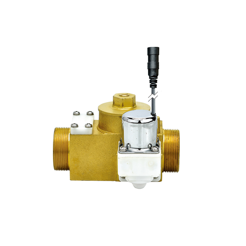 DCF-D Toilet Squat Toilet Water Control Solenoid Valve