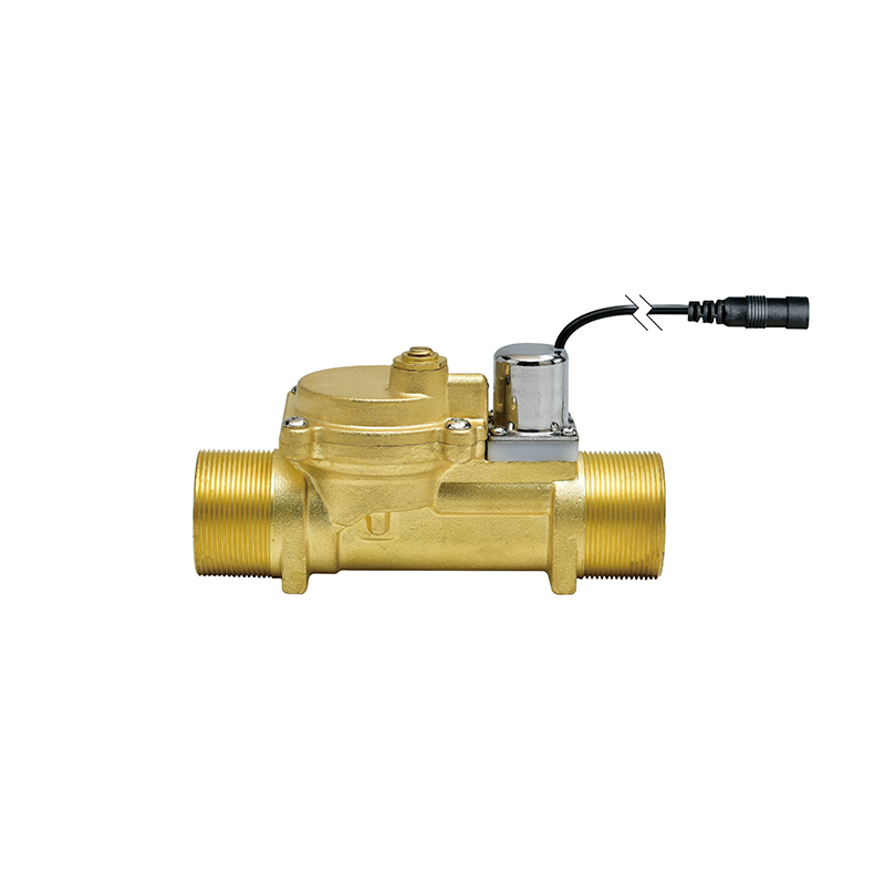 DCF-E Brass Dc Solenoid Valve Automatic Flusher